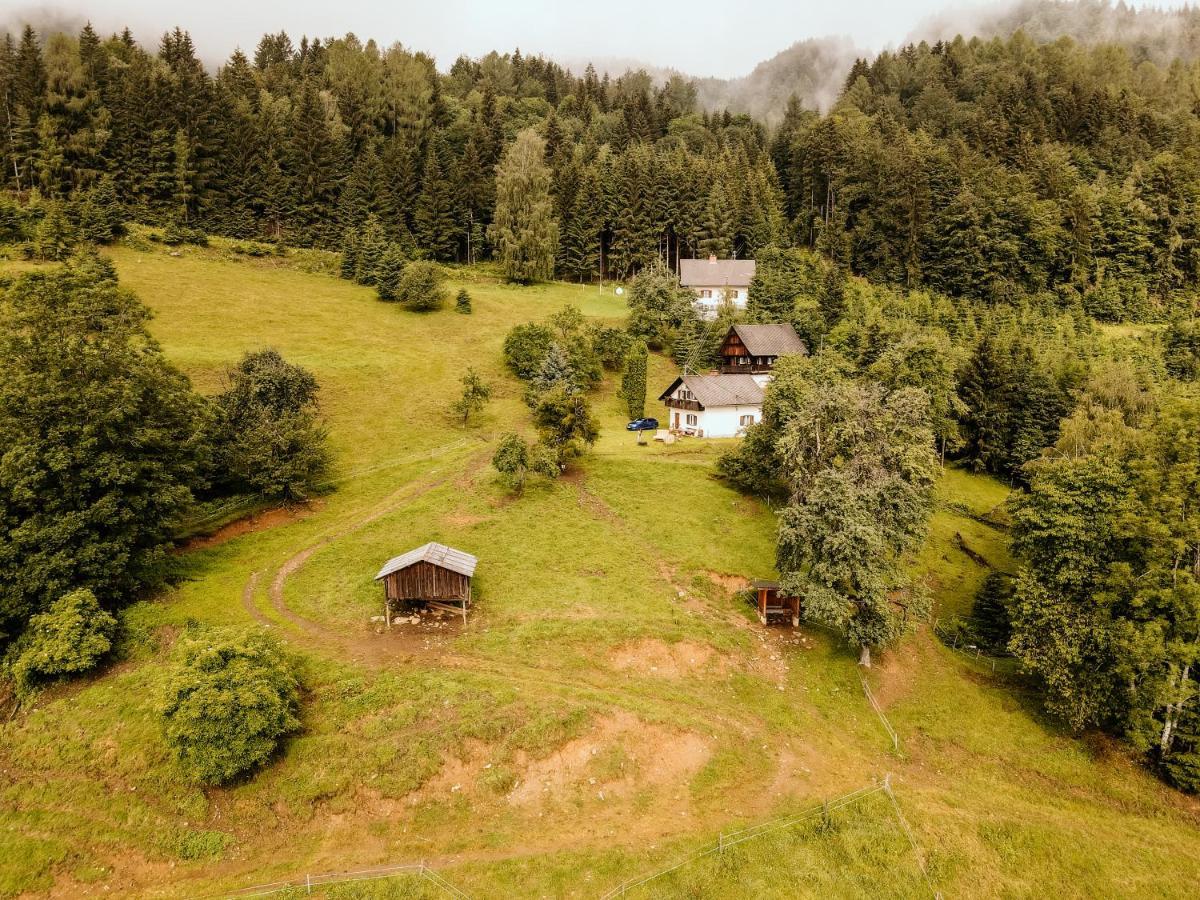 Ferienhaus Almhaus Kochjosel *