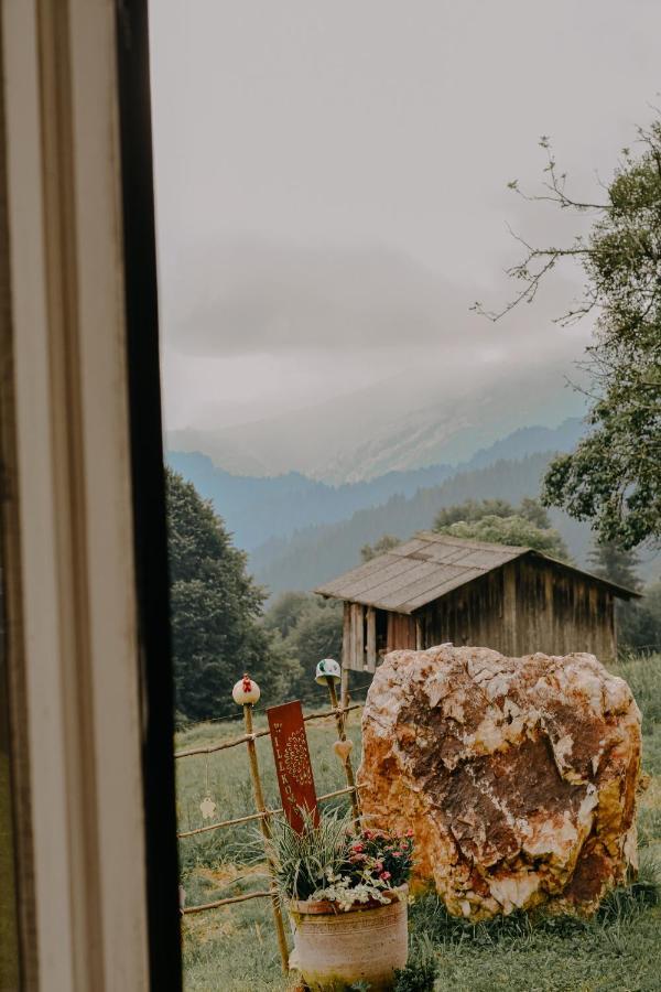 Hébergement de vacances Almhaus Kochjosel *